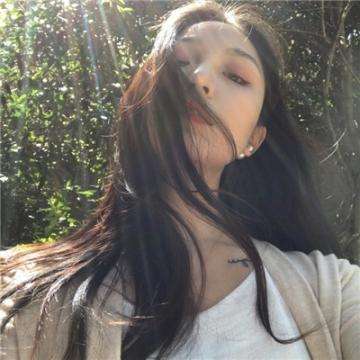 月神宝藏折扣版下载
